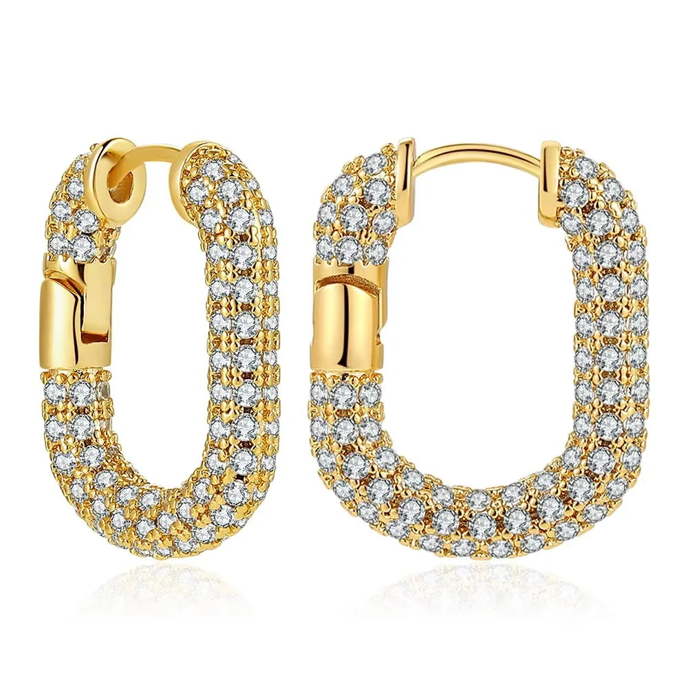 Huggie Earrings